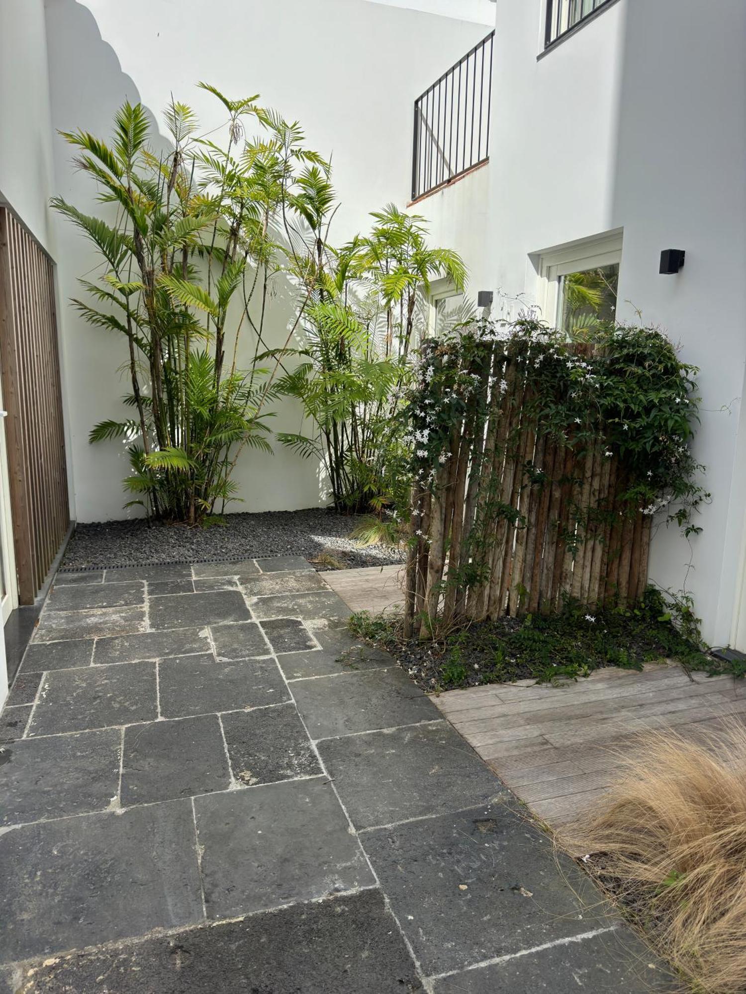 Santa Clara 1828 Apartment Ponta Delgada  Exterior photo